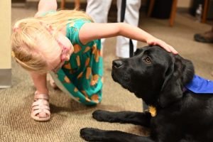 Thumbnail for OCLI HUNTINGTON PARK AVENUE ANNIVERSARY CELEBRATION ON BEHALF OF GUIDE DOG FOUNDATION Thumbnail for OCLI HUNTINGTON PARK AVENUE ANNIVERSARY CELEBRATION ON BEHALF OF GUIDE DOG FOUNDATION